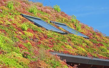 West Stafford living roof systems