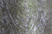 West Stafford fibreglass roof work